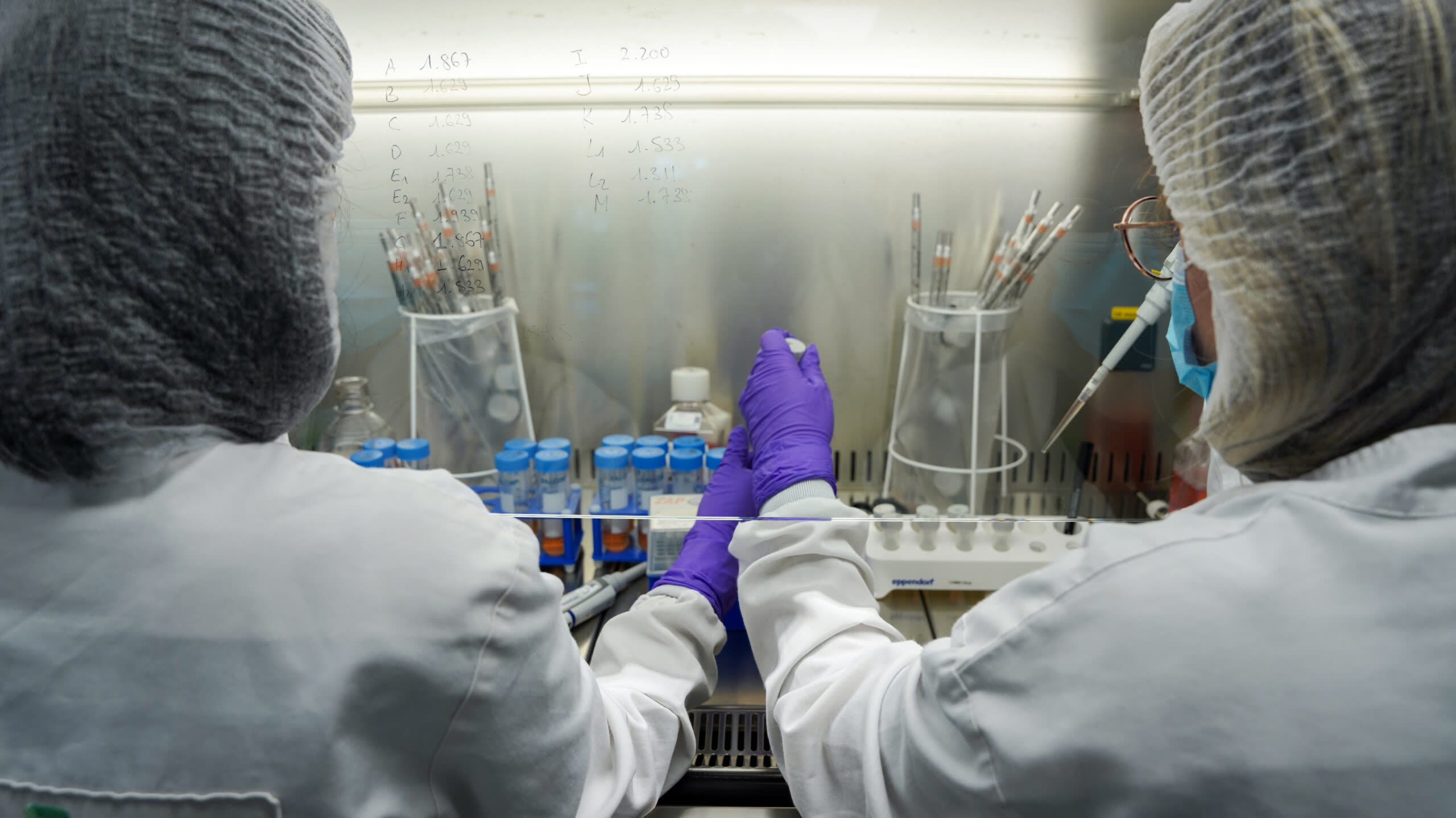 TreeFrog team in the cleanroom