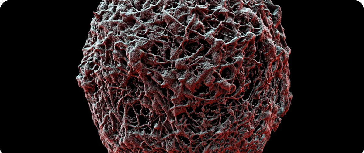 3D microtissue — Best-in-class