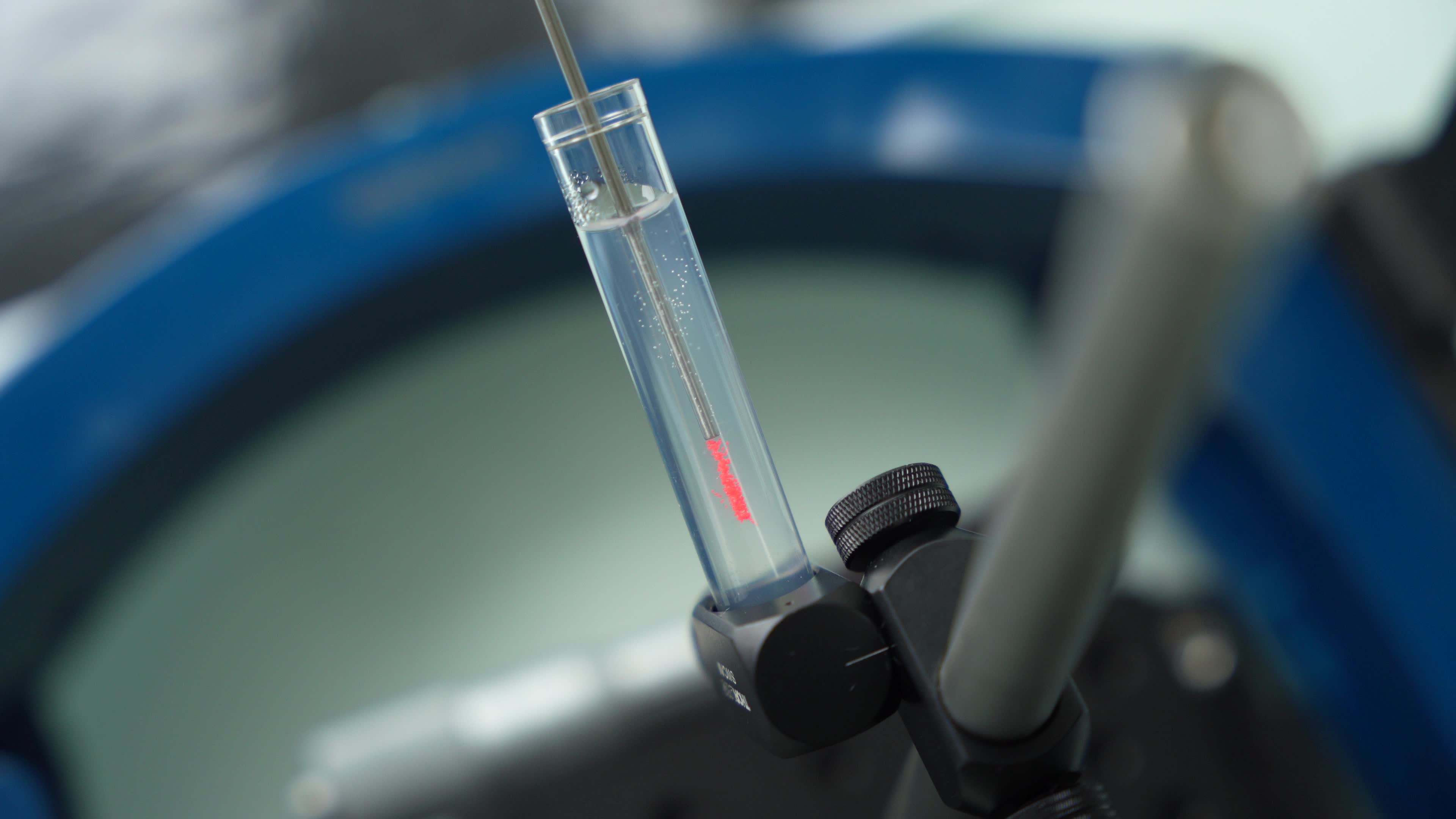 Microtissue in tube