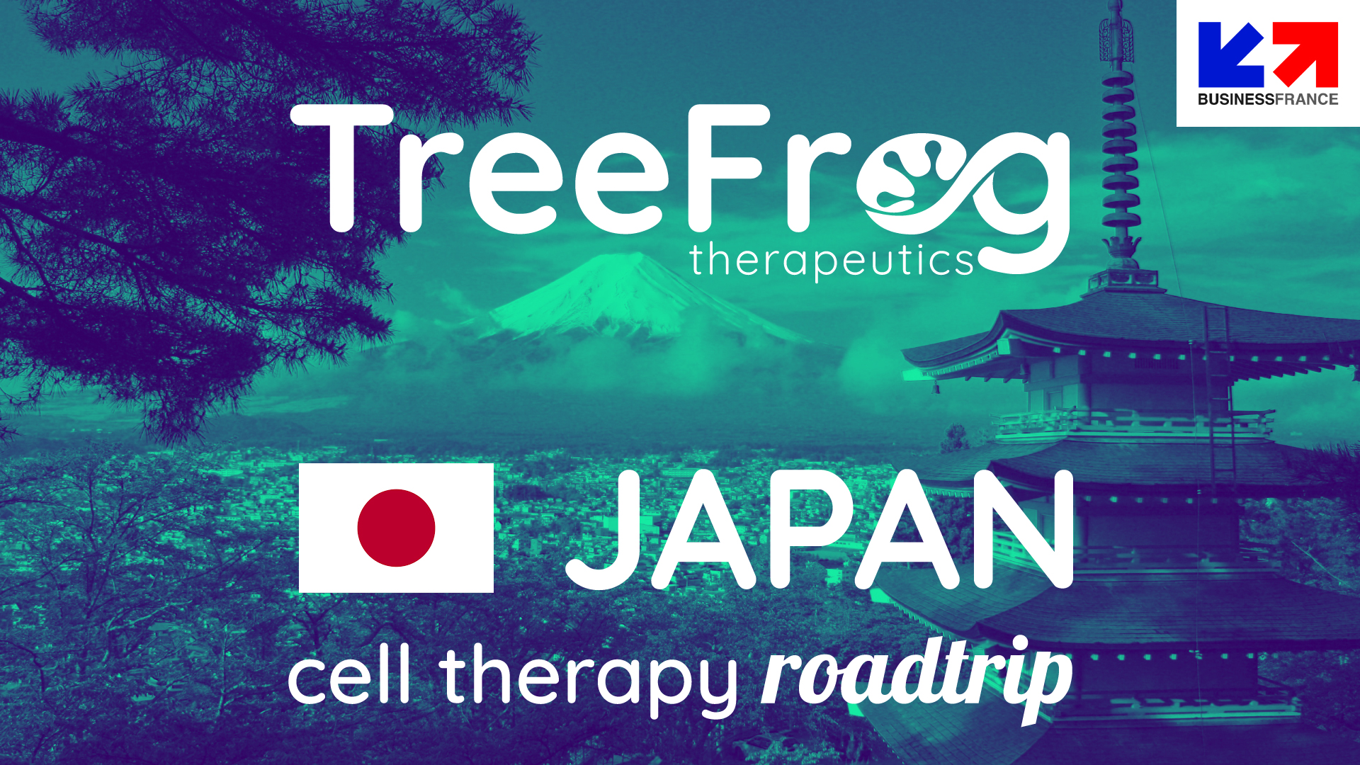 Cell therapy roadtrip in Japan