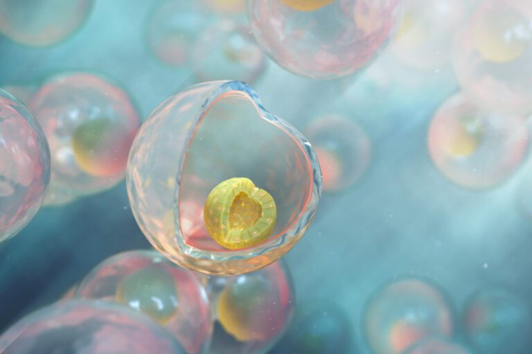 TREEFROG THERAPEUTICS ENTERS INTO PIONEERING RESEARCH COLLABORATION IN IMMUNO-ONCOLOGY WITH THE UNIVERSITY OF PITTSBURGH