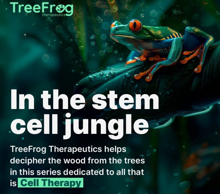 In the Stem Cell Jungle #1 Factsheet