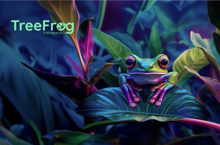 Dans la jungle des cellules souches #2