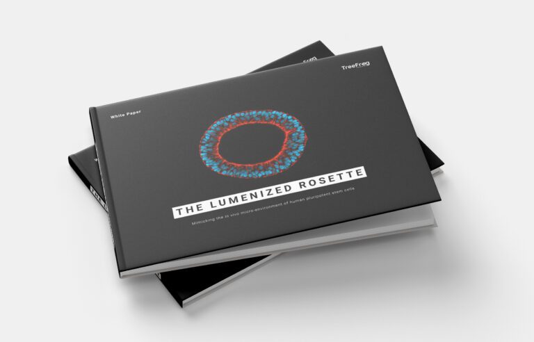 White Paper: The hiPSC lumenized rosette