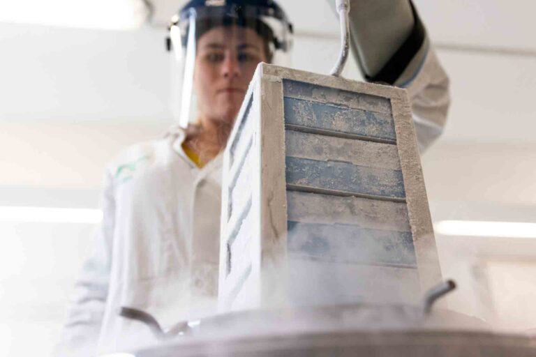Communiqué de presse : TreeFrog Therapeutics livre son premier lot de cellules souches (hIPS), avec le meilleur contrôle de qualité, au leader de la thérapie cellulaire et génique Imagine Institute.
