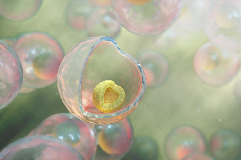 TREEFROG THERAPEUTICS CONCLUT UNE COLLABORATION DE RECHERCHE PIONNIÈRE EN IMMUNO-ONCOLOGIE AVEC L’UNIVERSITÉ DE PITTSBURGH